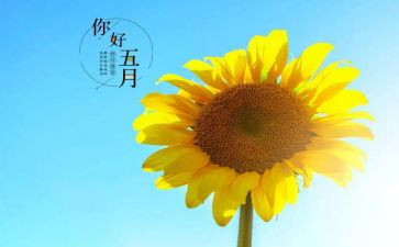 五月的个人总结8篇