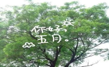 2024幼儿园中班五月份月计划7篇