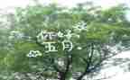 2024幼儿园中班五月份月计划7篇