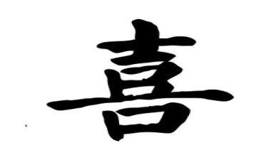 我喜欢的小动物作文500字模板6篇