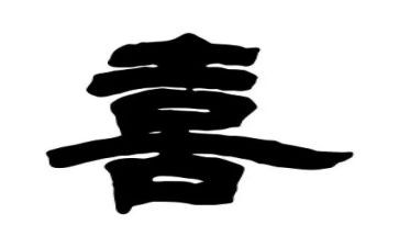 我最喜欢猫作文500字通用6篇