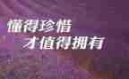 爱惜粮食教案8篇