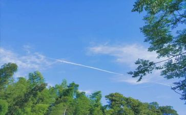 写夏天优秀作文优秀7篇
