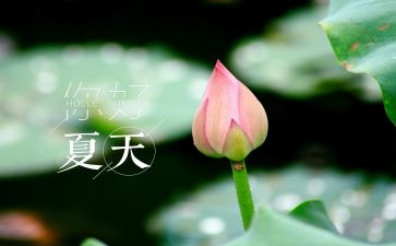 夏天的校园作文8篇