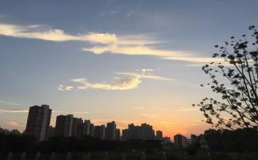 一下班队工作总结6篇