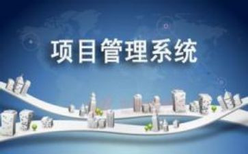 项目化工作个人总结5篇