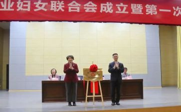 乡镇妇联领工作计划8篇