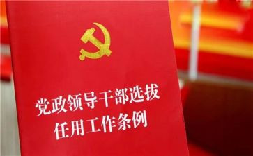 x乡镇干部个人总结7篇