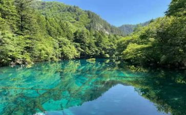 小先生读后感模板6篇