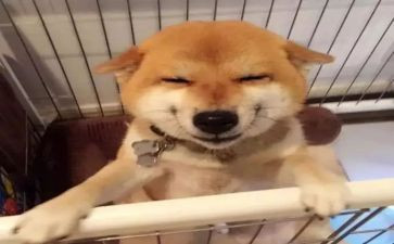 笑为主题的作文200字5篇