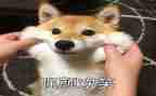 感动的笑的作文参考5篇