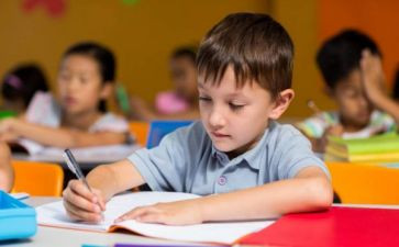 幼儿园工作总结个人小班推荐5篇