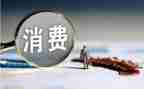 90后消费观调查报告6篇