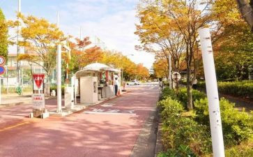 校内奖学金申请书范文5篇