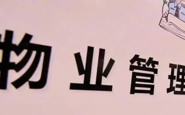 小区物业保安个人总结7篇