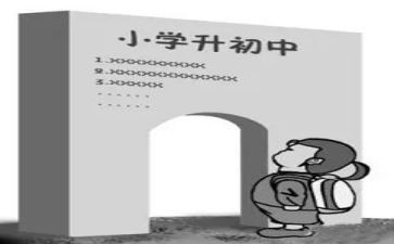 小升初心得体会通用6篇