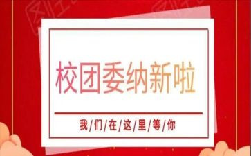 校团委工作个人总结6篇