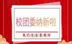 校团委工作个人总结6篇