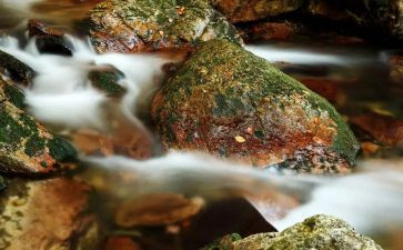 小溪的读后感6篇