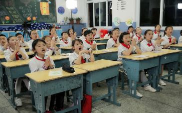 小学述职报告优质6篇