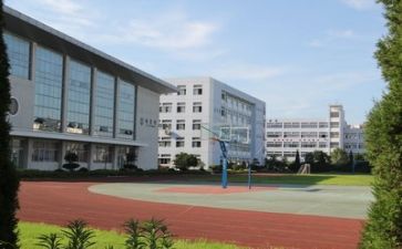 校园安全伴我行演讲稿推荐5篇