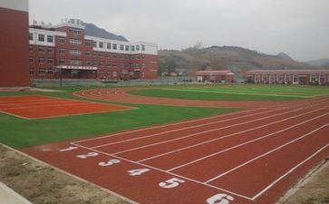 校园安全心得优质5篇