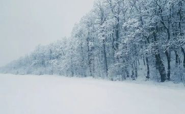 下雪啦幼儿园教案精选7篇