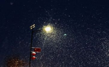 小学生下雪啦作文6篇