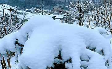 下雪啦活动教案5篇