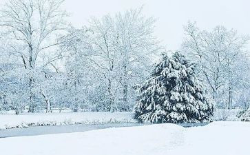下雪啦幼儿园教案7篇