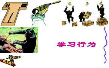职业道德行为处理办法心得体会7篇