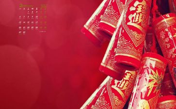 我的新年计划作文优质5篇