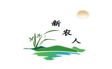 新农保工作总结精选7篇
