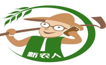 新农村工作个人总结6篇