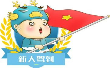 新人经信个人总结6篇