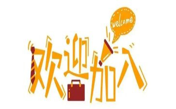 工作新人个人总结6篇
