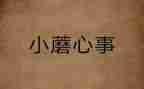 我的开心事室的作文8篇