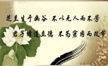 修身为弓的作文7篇