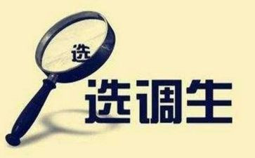 考选调生个人总结6篇