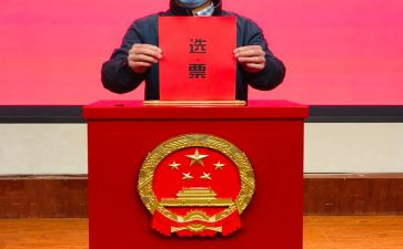 居委会选举工作总结6篇