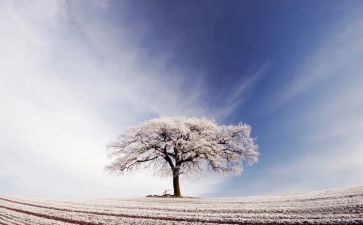 学雷锋除雪活动总结7篇
