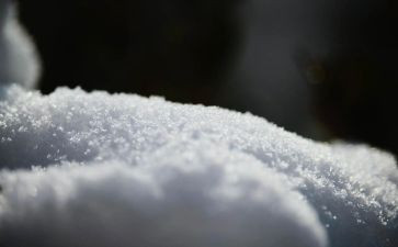 小学生作文雪六百字7篇