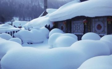 除雪志愿活动总结5篇