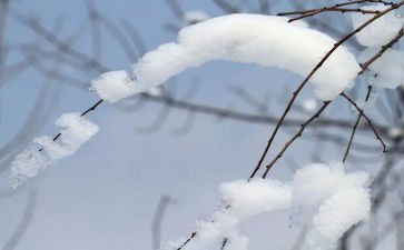 小学生滑雪作文6篇