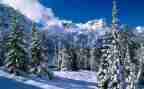 我想关于雪的作文7篇
