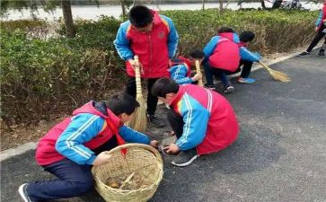 镇开展学雷锋活动总结5篇