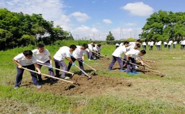 小学农村述职报告模板8篇