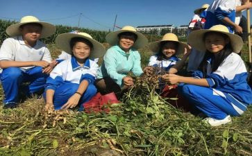 小学农村述职报告5篇