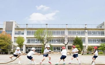 大学生对支教调查报告5篇