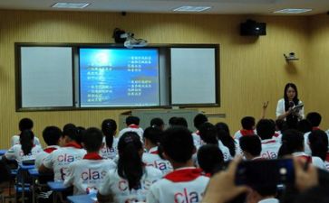 新标准学习心得体会6篇